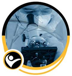 COVID-19 Test Results at Priority Urgent Care and Walk-In Medical Practice Near Me in Chicopee MA, Ellington CT, Unionville CT, East Haven CT, Cromwell CT, Oxford, CT and Newington, CT