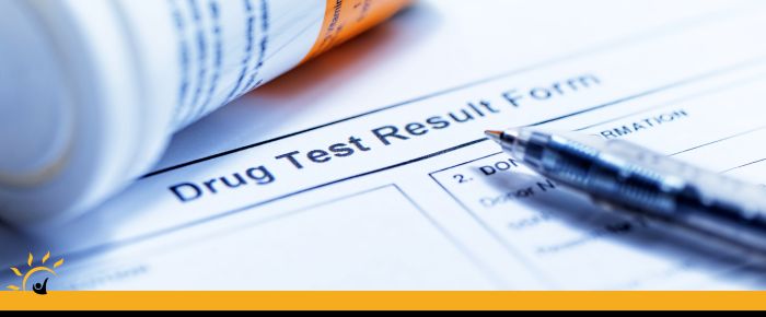 Cost of Drug Testing Near Me in Chicopee, MA Cost of Drug Testing Near Me in Chicopee, MA