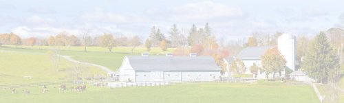 Welcome to Priority Urgent Care and Walk-In Medical Practice in Ellington, CT