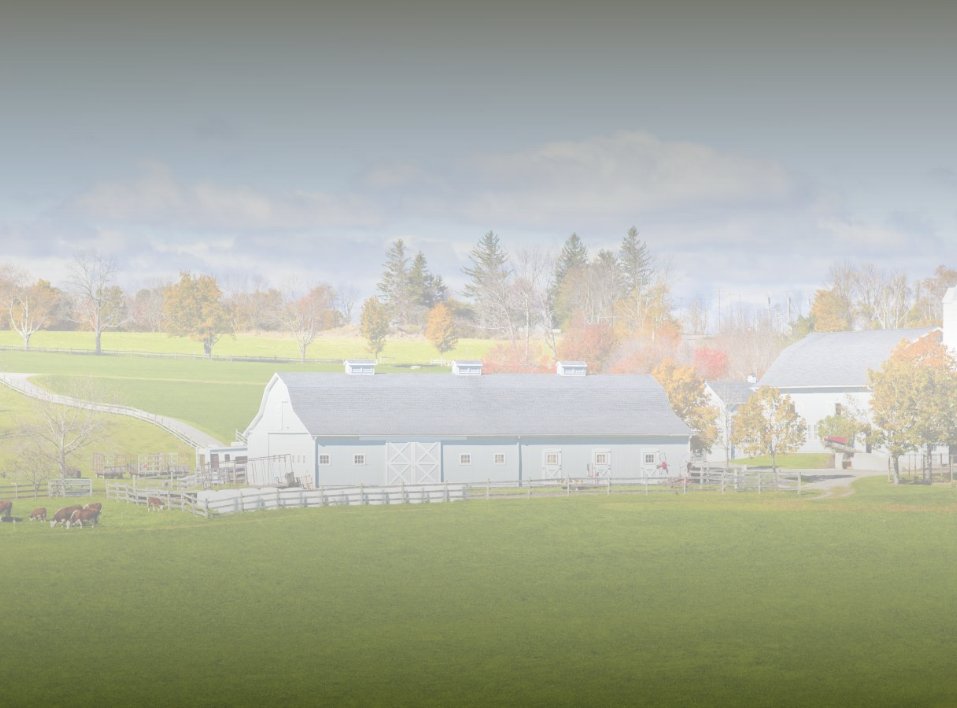 Welcome to Priority Urgent Care and Walk-In Medical Practice in Ellington, CT