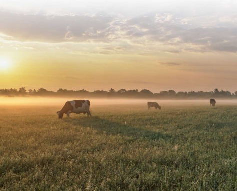 Directions to Priority Urgent Care and Walk-In Medical in Oxford, CT