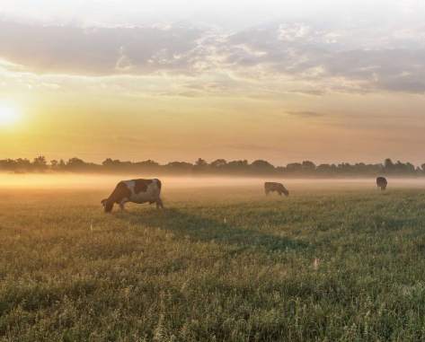 Directions to Priority Urgent Care and Walk-In Medical in Oxford, CT